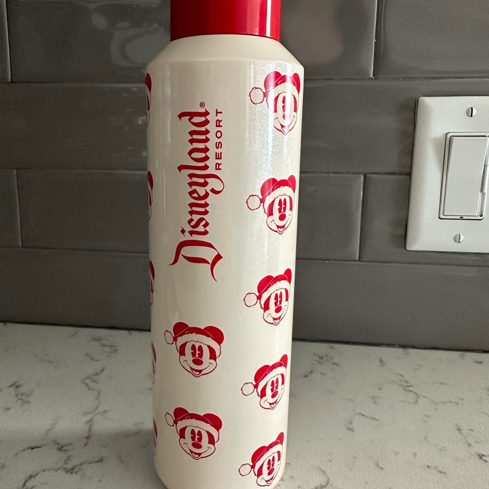 Disneyland Holiday Tumbler (2022)